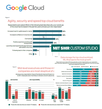 SMR Google Triangle survey